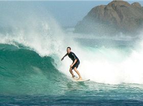 Windmills, Mid Feb 08