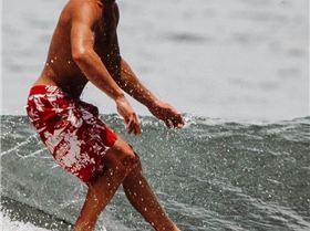 36874233 10155645421817897 3254338377067003904 n