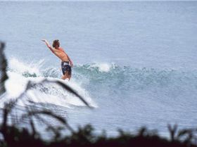 13615036 10153824350067897 5764738547870877804 n