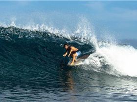 29136219 10155395461607897 2997414039010672640 n