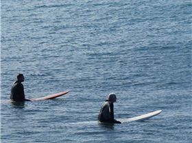 Screen Shot 2019-12-01 at 8.46.53 am