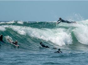 Angourie Point 2-1-20