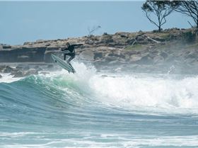 Angourie Point 2-1-20