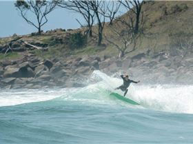 Angourie Point 2-1-20