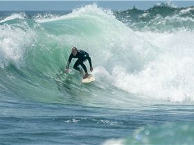 Angourie Point 2-1-20