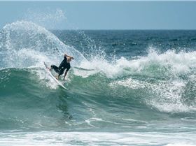 Angourie Point 2-1-20