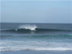 Early morning madness!! 