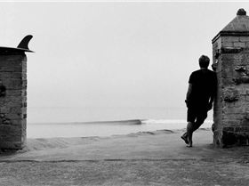 138921512617755975411236072865640301011703n