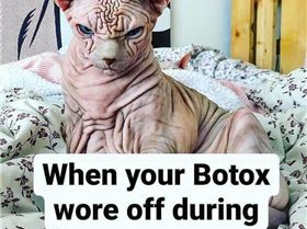 93482196102170810106051136413858204249227264n