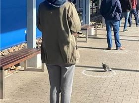 9357891310157161103776914583469159677952000n