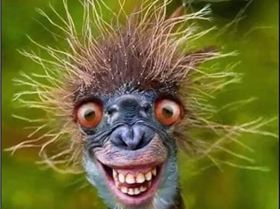 9324542526529375549208737359719399940423680n