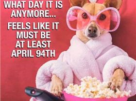 9431112928042209230386573276824171539070976n