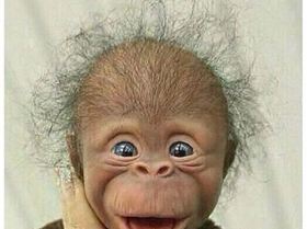 9410145633809293386011832516460753641275392n