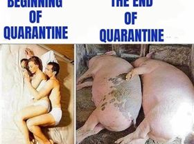 9449090538255343374888811456630457562038272o