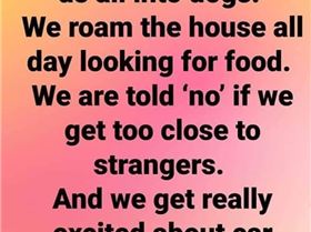 9433777914409200727623149076716538832093184n