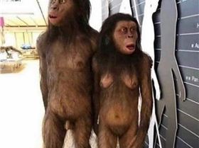 9456806629259594041651017226228401881743360o