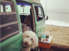 64500145101577060219214905782387699797196800o