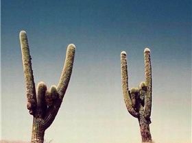 65319529101577408715764905279311669246296064n