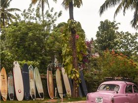 67616831101578105730714906664489942770515968o