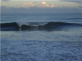 whos having a sickie in WA emptiness.......