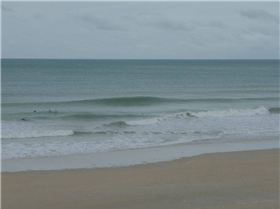 Sickies are sometimes gold when its cyclonic