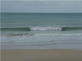 Sickies are sometimes gold when its cyclonic