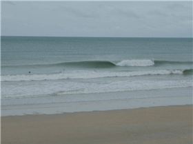 Sickies are sometimes gold when its cyclonic