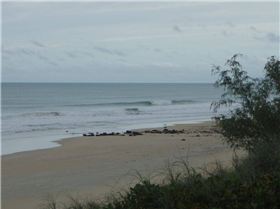 Sickies are sometimes gold when its cyclonic