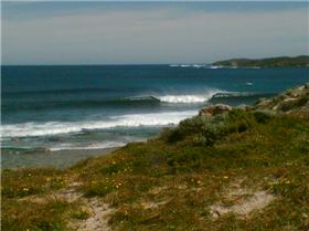 hallo, what have we ere