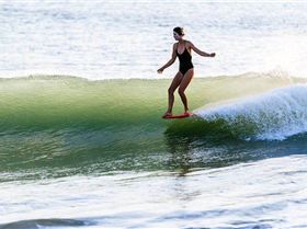 21641020101561374826414906173394293383811828o