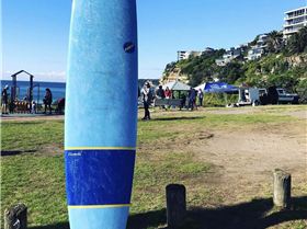 Stolen NSP Elements Longboard