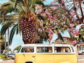 65187935101577357601014907749111855234154496o