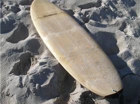 Treehouse Surfboards