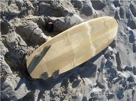 Treehouse Surfboards