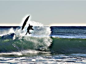 email jane@ii.net for the spot photos of you!