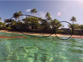 Screen Shot 2021-03-18 at 10.49.13 am