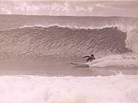 dogman nth coast nsw