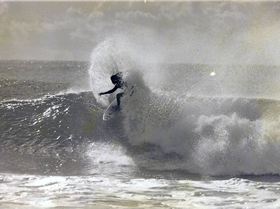 dogman nth coast nsw