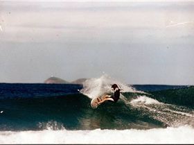 dogman nth coast nsw