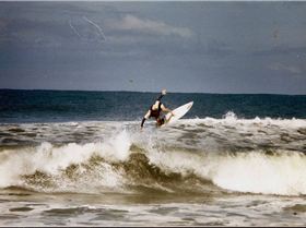 dogman nth coast nsw