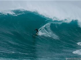 Wests Todd Quartermaine at west oz bombie