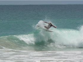 The Long and the Short of it..... gotta love it