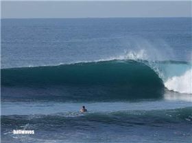 Up the Coast Bali