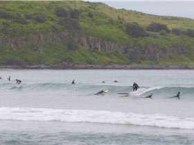 528223087922b174a69f1o