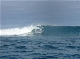 Seek and ye shall find