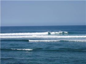 looks more gentle than it is, check the whale out 