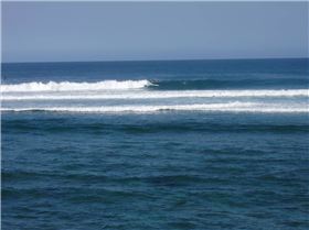 looks more gentle than it is, check the whale out 