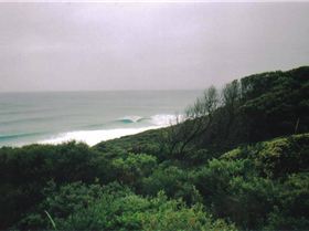 gracetown to injidup 08