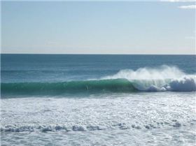 Scabs and floreat winter 08 