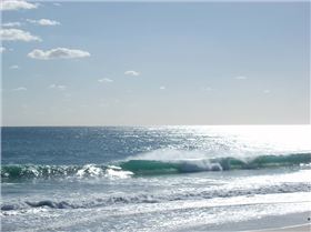 Scabs and floreat winter 08 